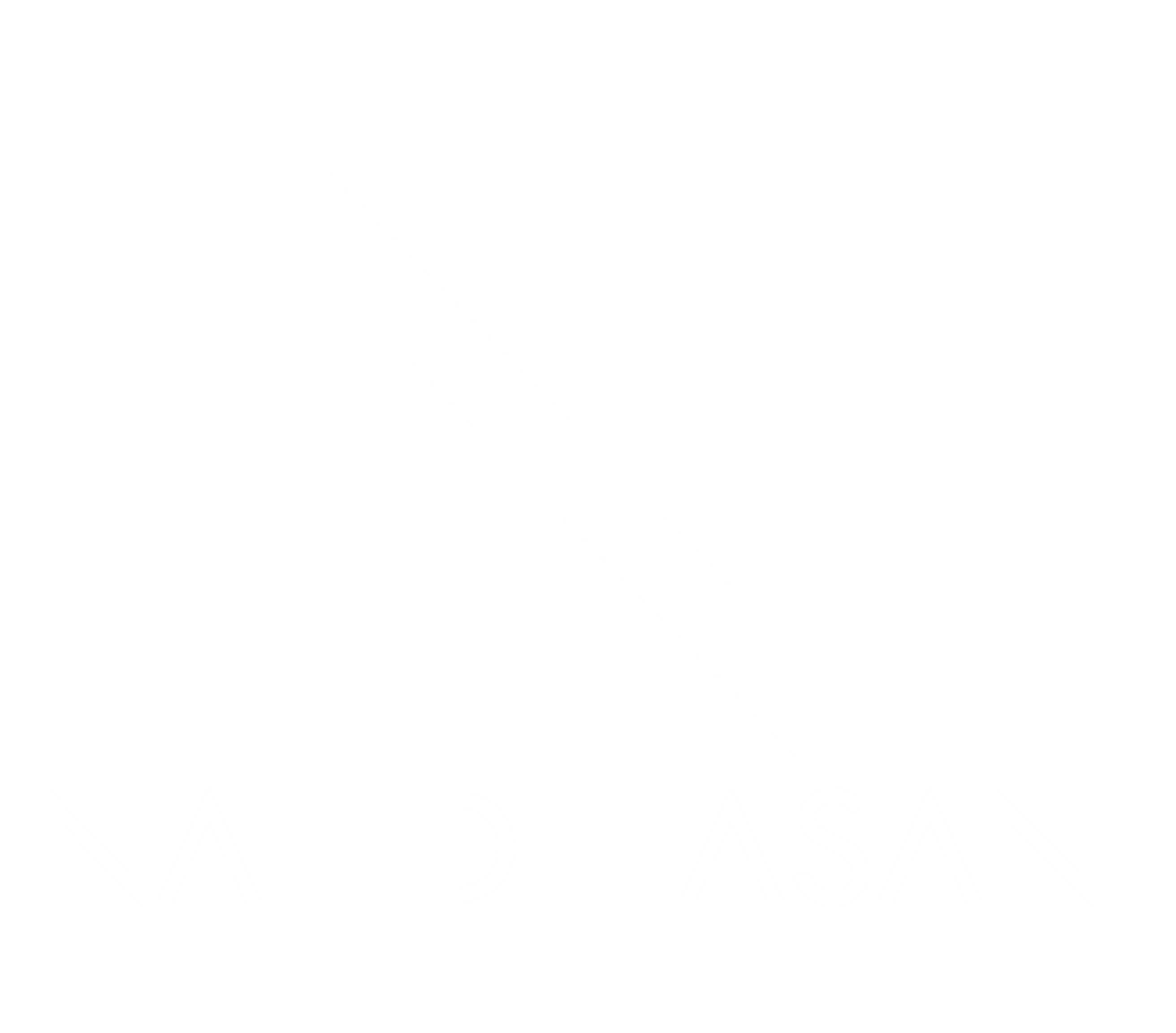 Nahid Hasan Logo